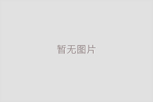 钢衬塑搅拌叶片